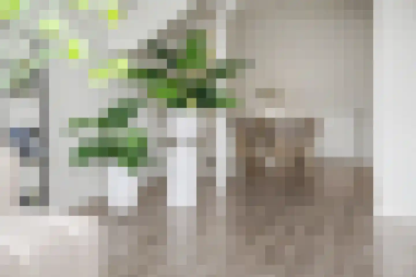 Dubbelhof 91 Ede thumbnail 13
