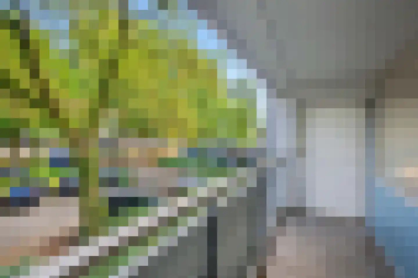 Dubbelhof 91 Ede thumbnail 30