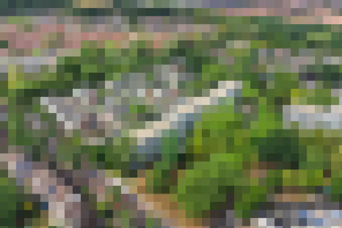 Dubbelhof 91 Ede thumbnail 36