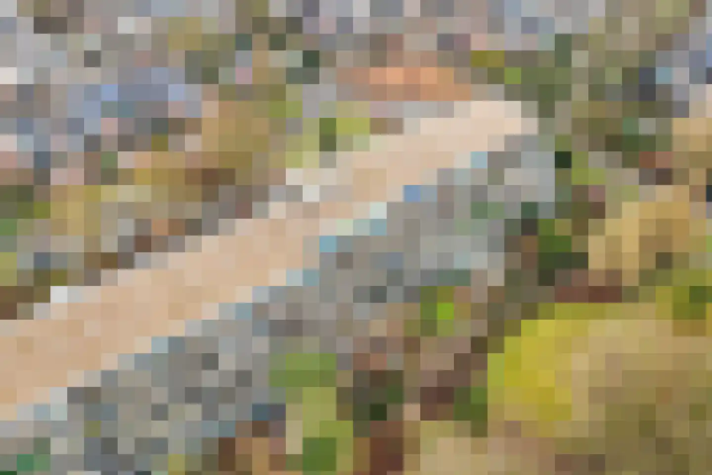Dubbelhof 93 Ede thumbnail 36