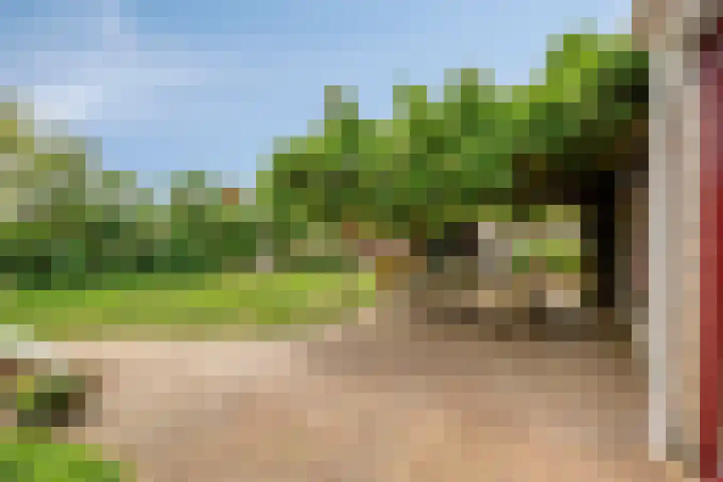 Dubbellooflaan 31 Peize thumbnail 36
