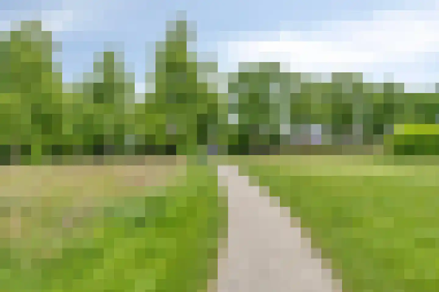 Dubbellooflaan 31 Peize thumbnail 50