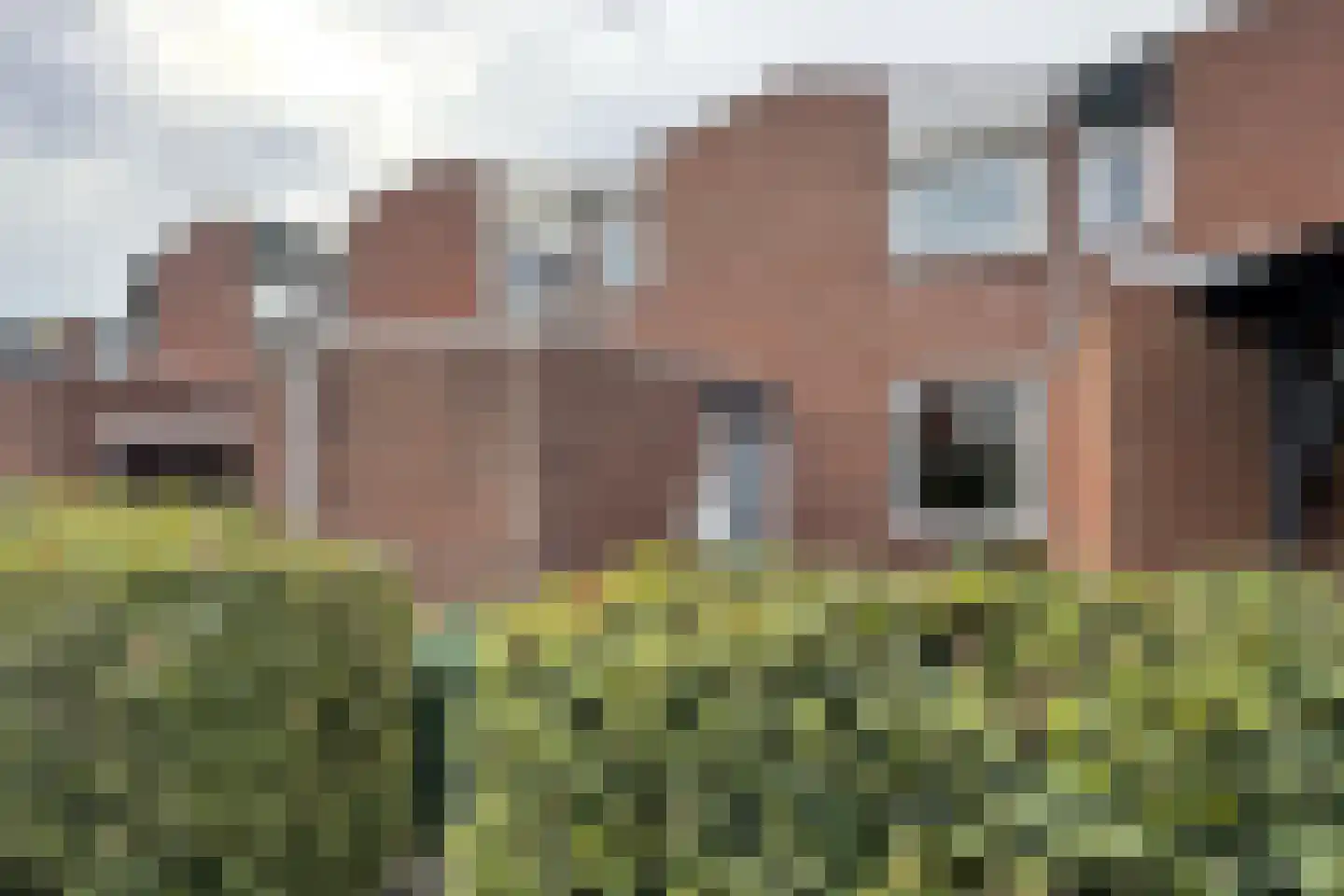 Dubbelmonde 22 dans Zevenbergen
