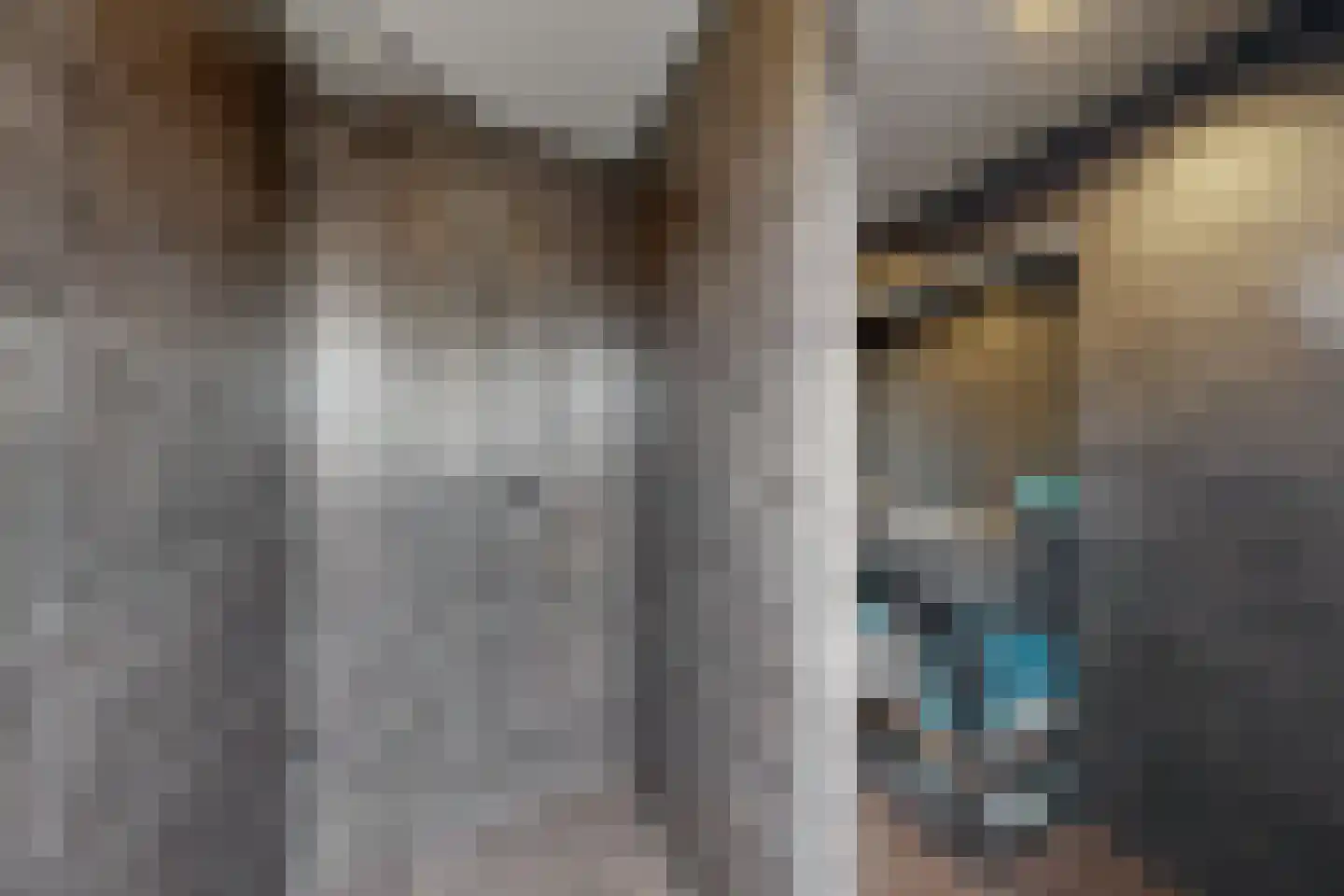 Dubbelmonde 22 Zevenbergen thumbnail 4