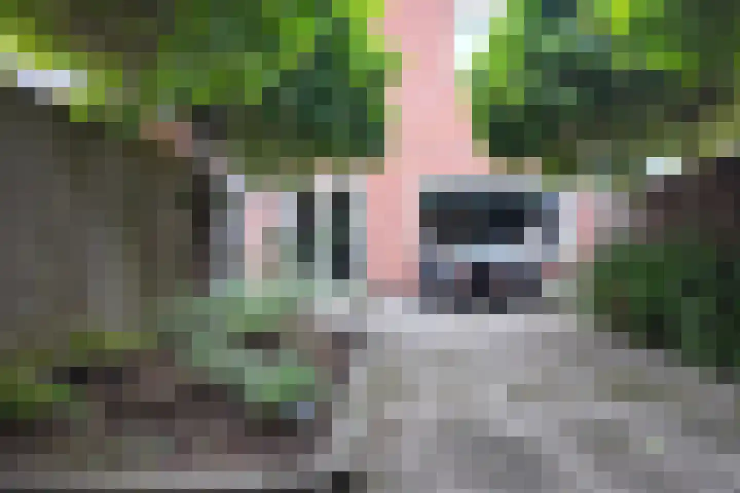 Dubbelmonde 22 Zevenbergen thumbnail 44