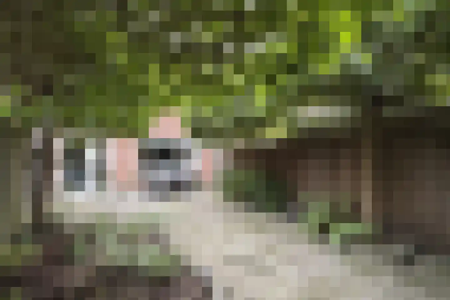 Dubbelmonde 22 Zevenbergen thumbnail 46