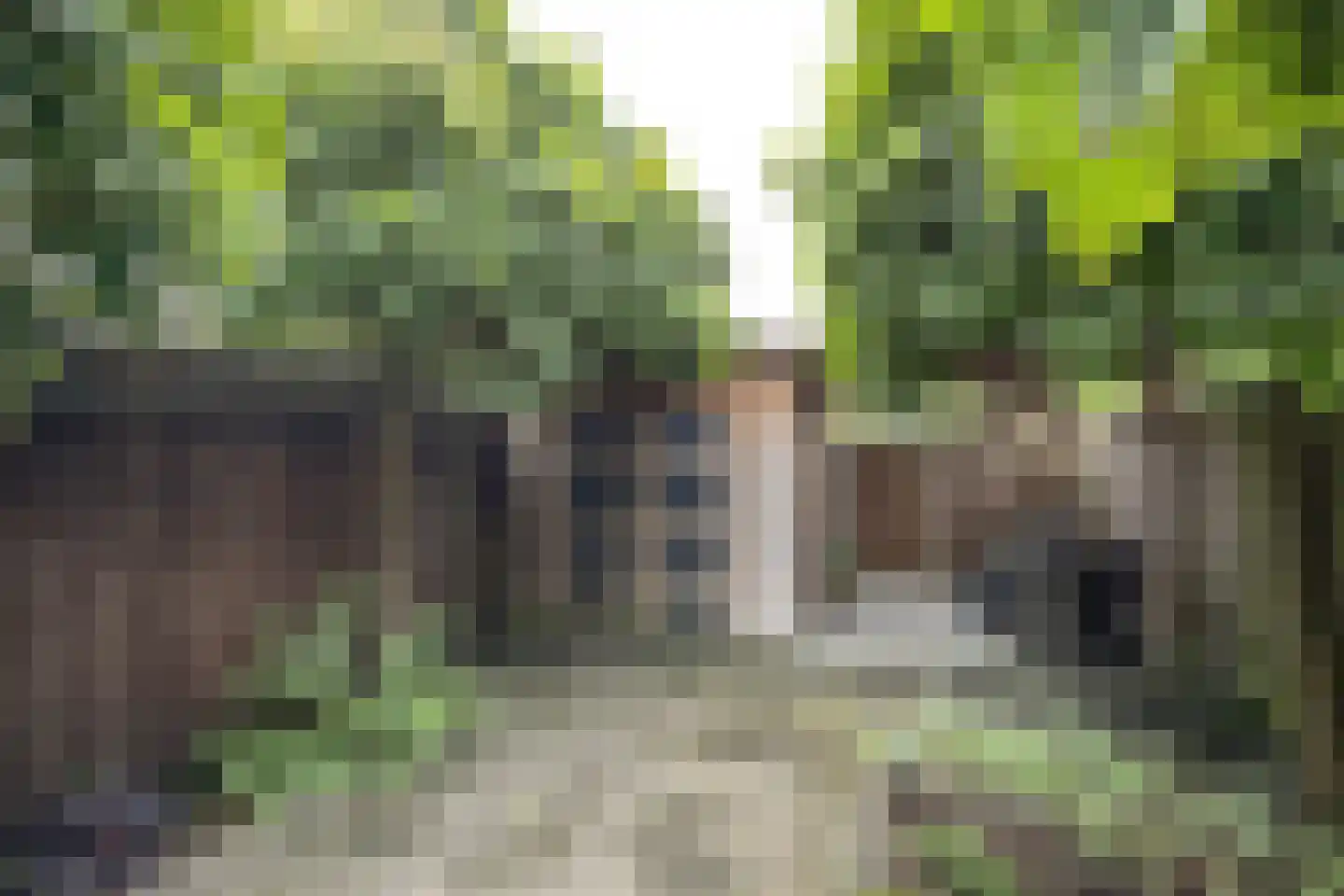 Dubbelmonde 22 Zevenbergen thumbnail 47
