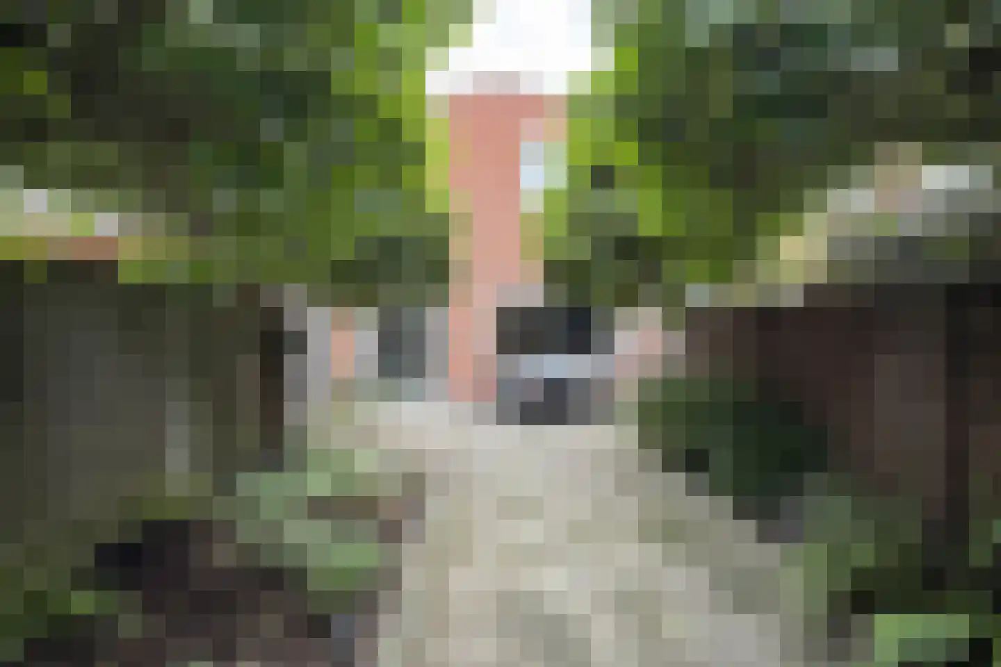 Dubbelmonde 22 Zevenbergen thumbnail 6