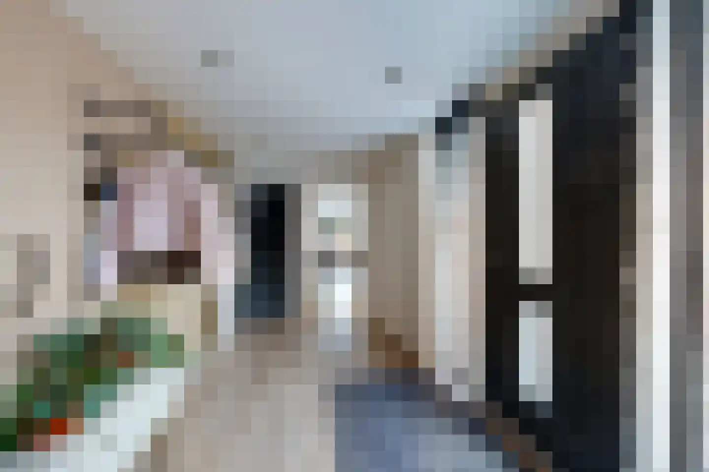 Dubbelmonde 22 Zevenbergen thumbnail 7