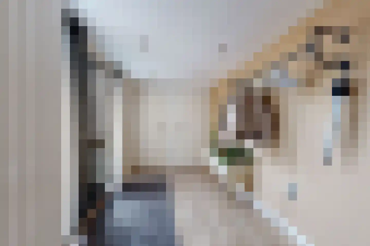 Dubbelmonde 22 Zevenbergen thumbnail 8