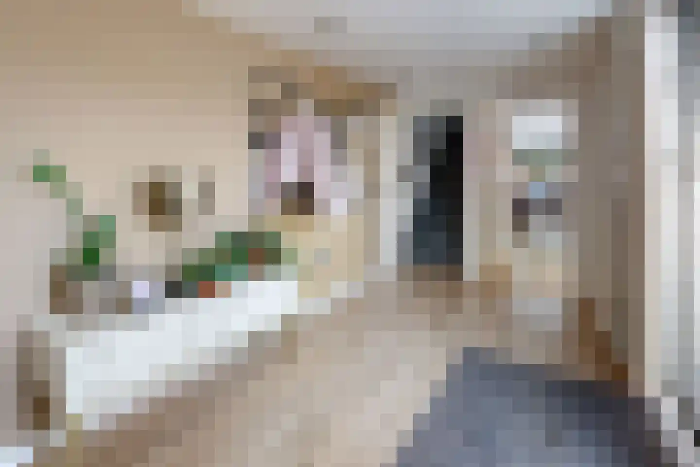 Dubbelmonde 22 Zevenbergen thumbnail 9