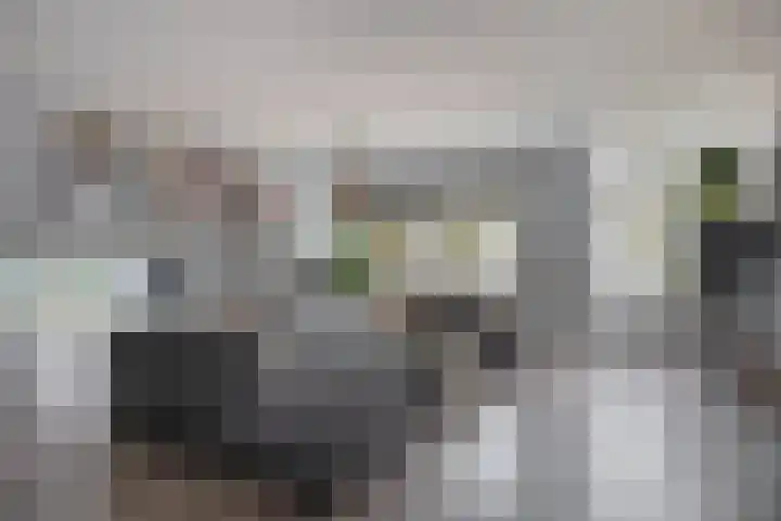 Dubbelmonde 28 Zevenbergen thumbnail 13