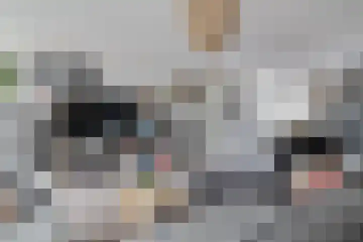 Dubbelmonde 28 Zevenbergen thumbnail 15