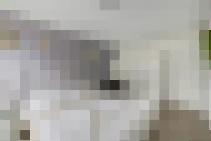 Dubbelmonde 28 Zevenbergen thumbnail 23