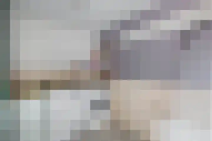 Dubbelmonde 28 Zevenbergen thumbnail 26