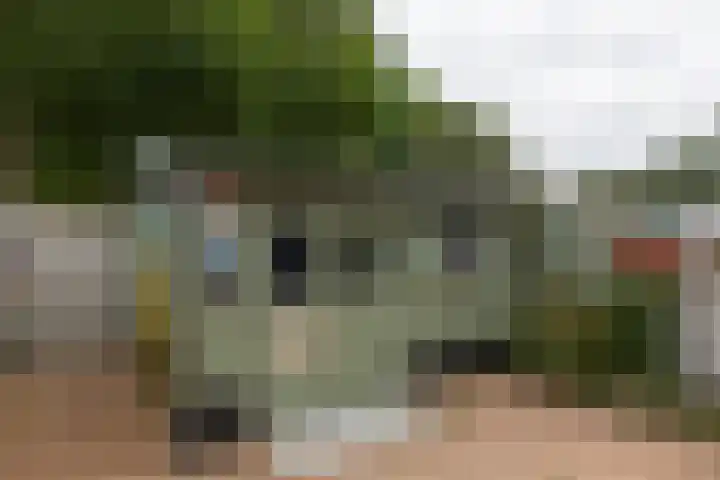 Dubbelmonde 28 Zevenbergen thumbnail 33