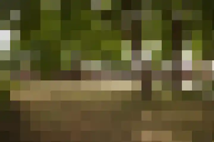 Dubbelmonde 28 Zevenbergen thumbnail 35