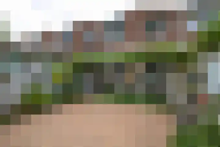 Dubbelmonde 28 Zevenbergen thumbnail 4