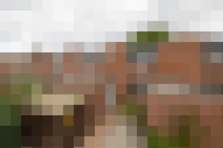 Dubbelmonde 28 Zevenbergen thumbnail 5
