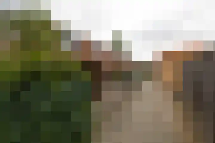Dubbelmonde 28 Zevenbergen thumbnail 6