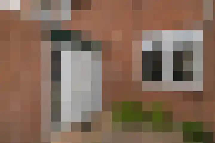 Dubbelmonde 28 Zevenbergen thumbnail 9