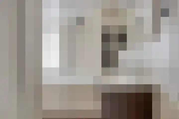 Dubbelmonde 47 Zevenbergen thumbnail 22