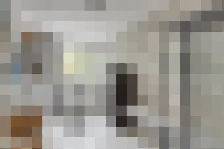 Dubbelmonde 47 Zevenbergen thumbnail 24