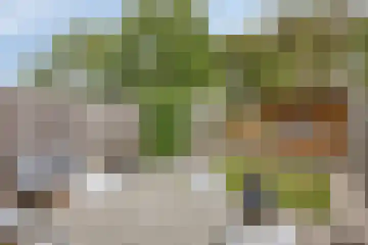 Dubbelmonde 47 Zevenbergen thumbnail 25