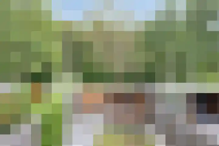 Dubbelmonde 47 Zevenbergen thumbnail 29