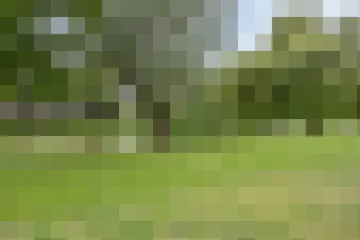 Dubbelmonde 47 Zevenbergen thumbnail 32