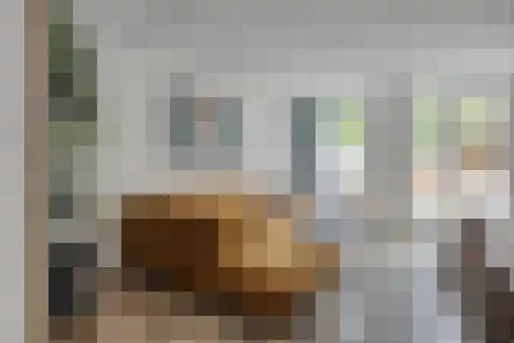 Dubbelmonde 47 Zevenbergen thumbnail 8