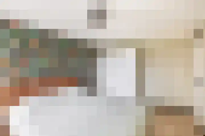 Dubbelmonde 7 Zevenbergen thumbnail 18