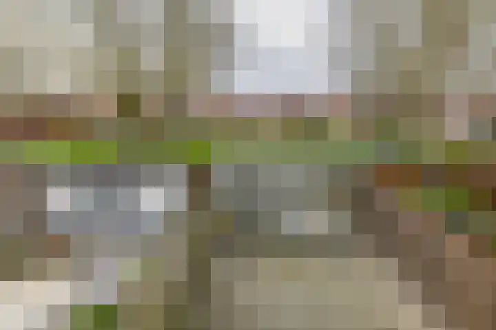 Dubbelmonde 7 Zevenbergen thumbnail 26