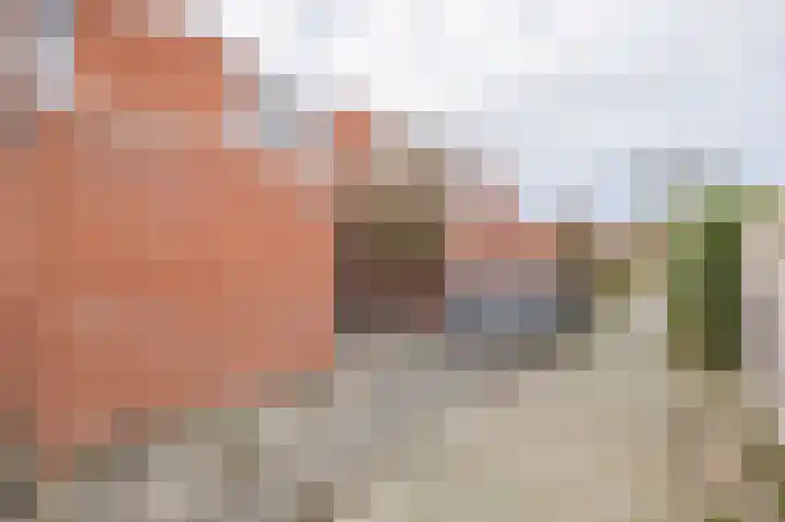 Dubbelmonde 7 Zevenbergen thumbnail 28
