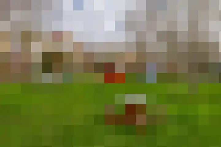 Dubbelmonde 7 Zevenbergen thumbnail 31