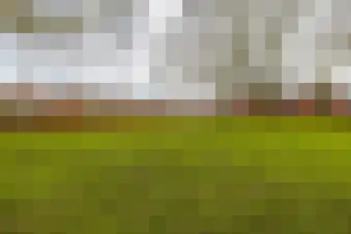 Dubbelmonde 7 Zevenbergen thumbnail 32