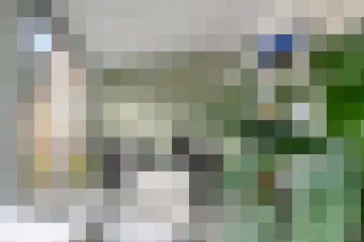 Dubbelmonde 88 Zevenbergen thumbnail 15