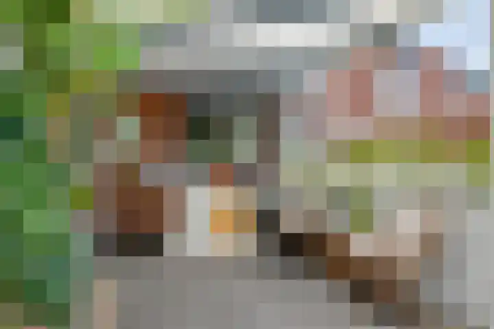 Dubbelmonde 88 Zevenbergen thumbnail 34