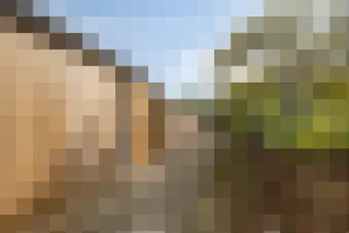 Dubbelmonde 88 Zevenbergen thumbnail 37