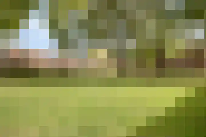 Dubbelmonde 88 Zevenbergen thumbnail 38