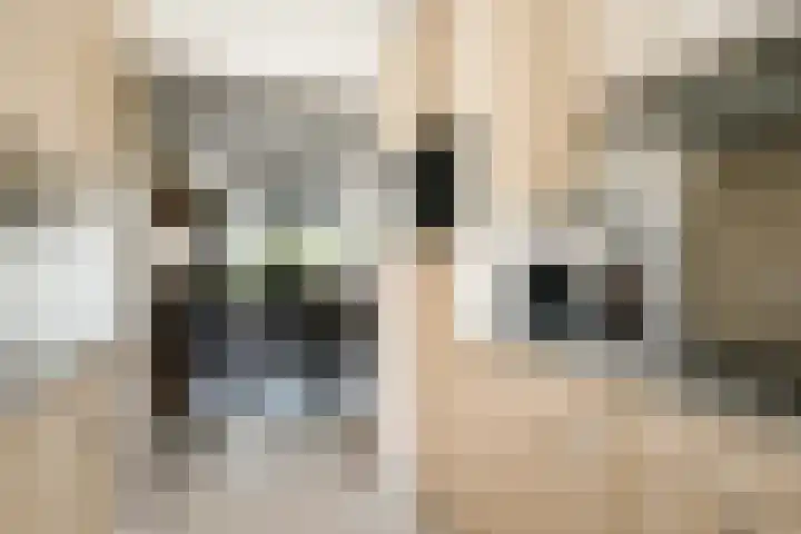 Dubbelspoor 118 Capelle aan den IJssel thumbnail 12