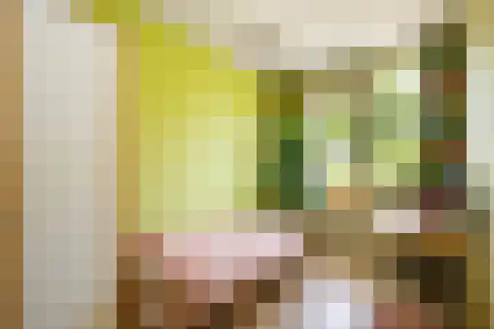 Dubbelspoor 118 Capelle aan den IJssel thumbnail 17