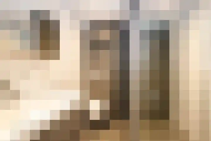 Dubbelspoor 118 Capelle aan den IJssel thumbnail 20