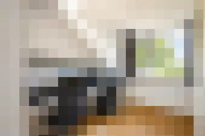 Dubbelspoor 118 Capelle aan den IJssel thumbnail 25