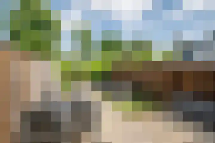 Dubbelspoor 118 Capelle aan den IJssel thumbnail 28