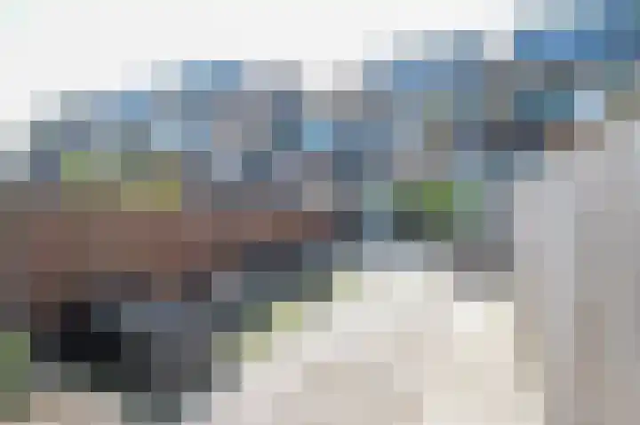 Dubbelspoor 118 Capelle aan den IJssel thumbnail 29