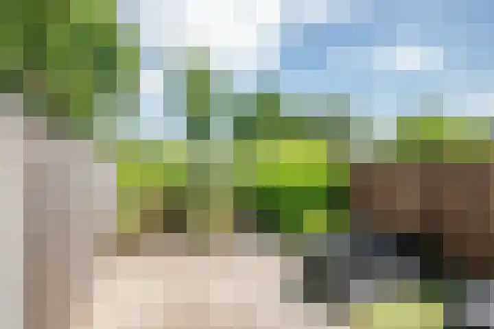 Dubbelspoor 118 Capelle aan den IJssel thumbnail 31