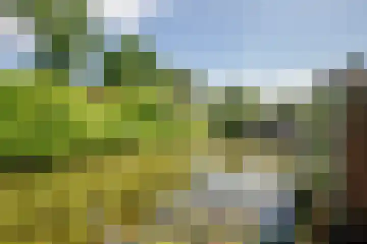 Dubbelspoor 118 Capelle aan den IJssel thumbnail 32