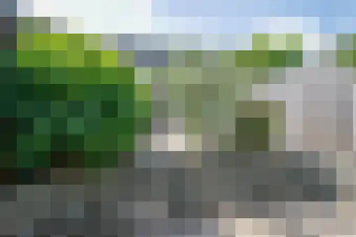 Dubbelspoor 118 Capelle aan den IJssel thumbnail 33