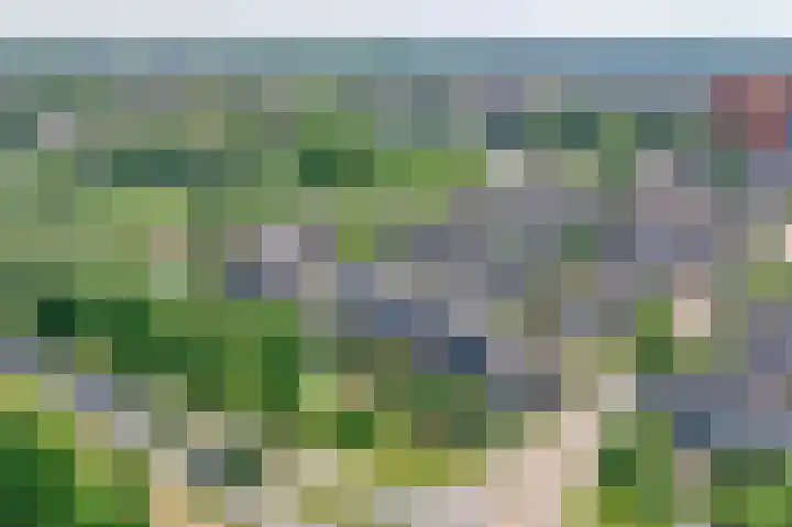 Dubbelspoor 118 Capelle aan den IJssel thumbnail 42